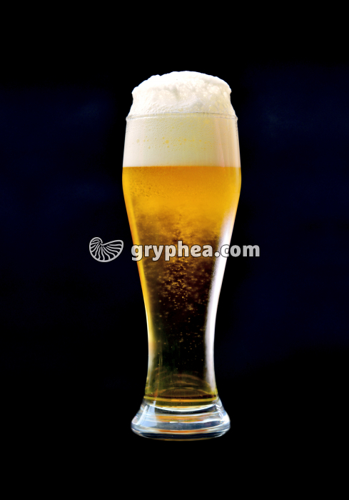 Verre de bière avec mousse en formation - gryphea.com